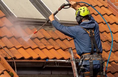 Démoussage et hydrofuge de toiture à Lempire